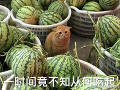 -回·龙虾铺·盆盆蟹·烧烤大排档(回龙观店)