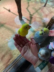 -酷嗒动物文化乐园(cutezoo西溪乐天城店)