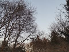 -黛秀湖公园