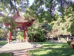 -陕西师范大学(雁塔校区)