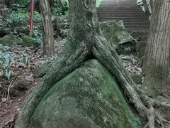 -凤栖山
