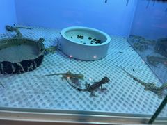 -三旗百汇商品城