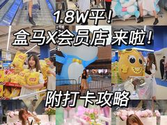 -盒马X会员店(上海森兰商都店)