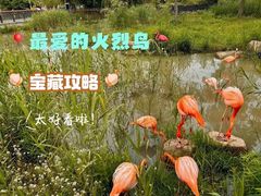 -上方山森林动物世界