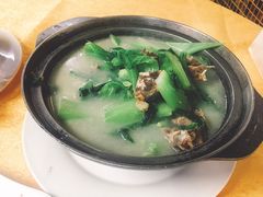 -鸽王世家(东华东路店)