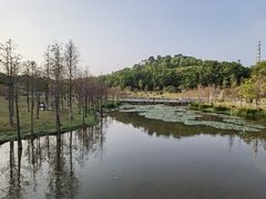 -东莞植物园