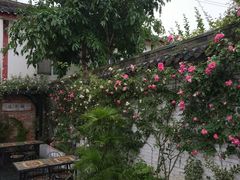 -三圣花乡旅游区