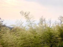 -紫金山索道-售票处