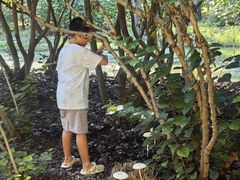 -合肥滨湖国家森林公园