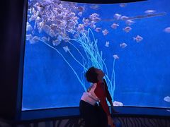 -沈阳海洋探索中心