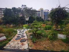 -醉得意(雨滴广场店)