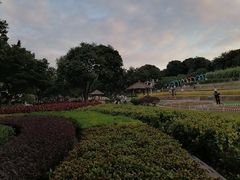 -天河儿童公园