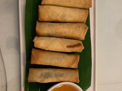 -Fern Forest Cafe