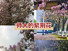 -广西师范大学(育才校区)