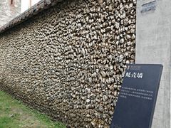 -碧江金楼