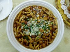 -广宁炭炉鸡煲·富临门饭店