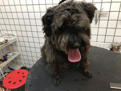 -熊小胖宠物生活馆(天华园店)