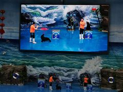 -多彩贵州城极地海洋世界