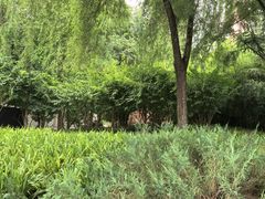 -南长河公园