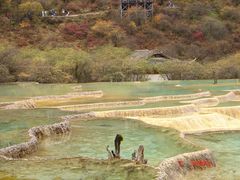 -黄龙山原始森林景区