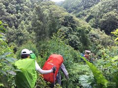 -大姆山草场