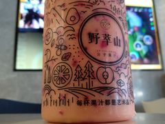 -野萃山·潮汕厚果汁(十亩地店)