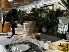 -禧宴Joyous Restaurant(禧园店)