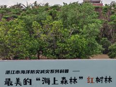 -霞山观海长廊