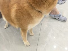 -宠颐生猫科·内科皮肤科(西平世纪城店)