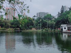 -晓港公园