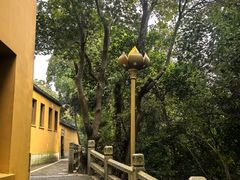 -灵岩山风景区