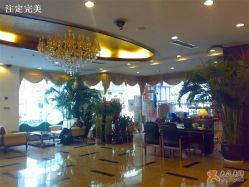 大堂-中福大厦-宴会厅