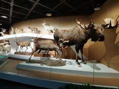 -陕西自然博物馆