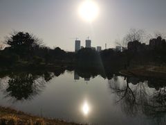 -堤角公园