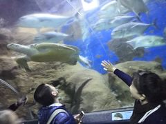 -大连圣亚海洋世界