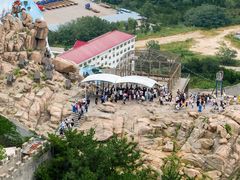 -西霞口神雕山野生动物世界