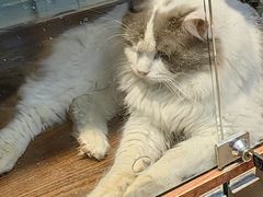 -三旗百汇商品城