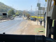 -莫干山风景区