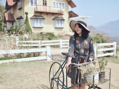 -黄色小屋