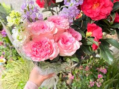 -循礼门鲜花花市(武汉循礼门店)