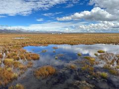 -花湖生态旅游区