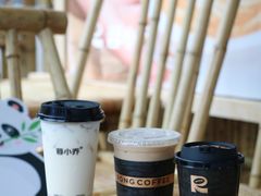 -蓉小乔·RONG COFFEE(春熙路店)