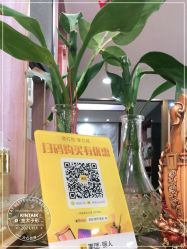 -金太子形象设计