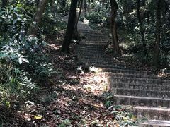 -广州市帽峰山景区