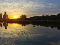-前关湿地公园