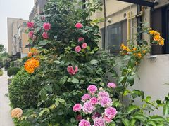 -嘉北郊野公园