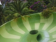 -亚马逊丛林水乐园