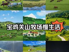 -关山草原