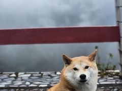 -广东大峡谷