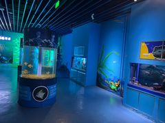 -沙沙哗啦海洋馆(华宇百花谷店)